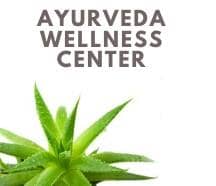 Slider image (1) Ayurveda Wellness Center